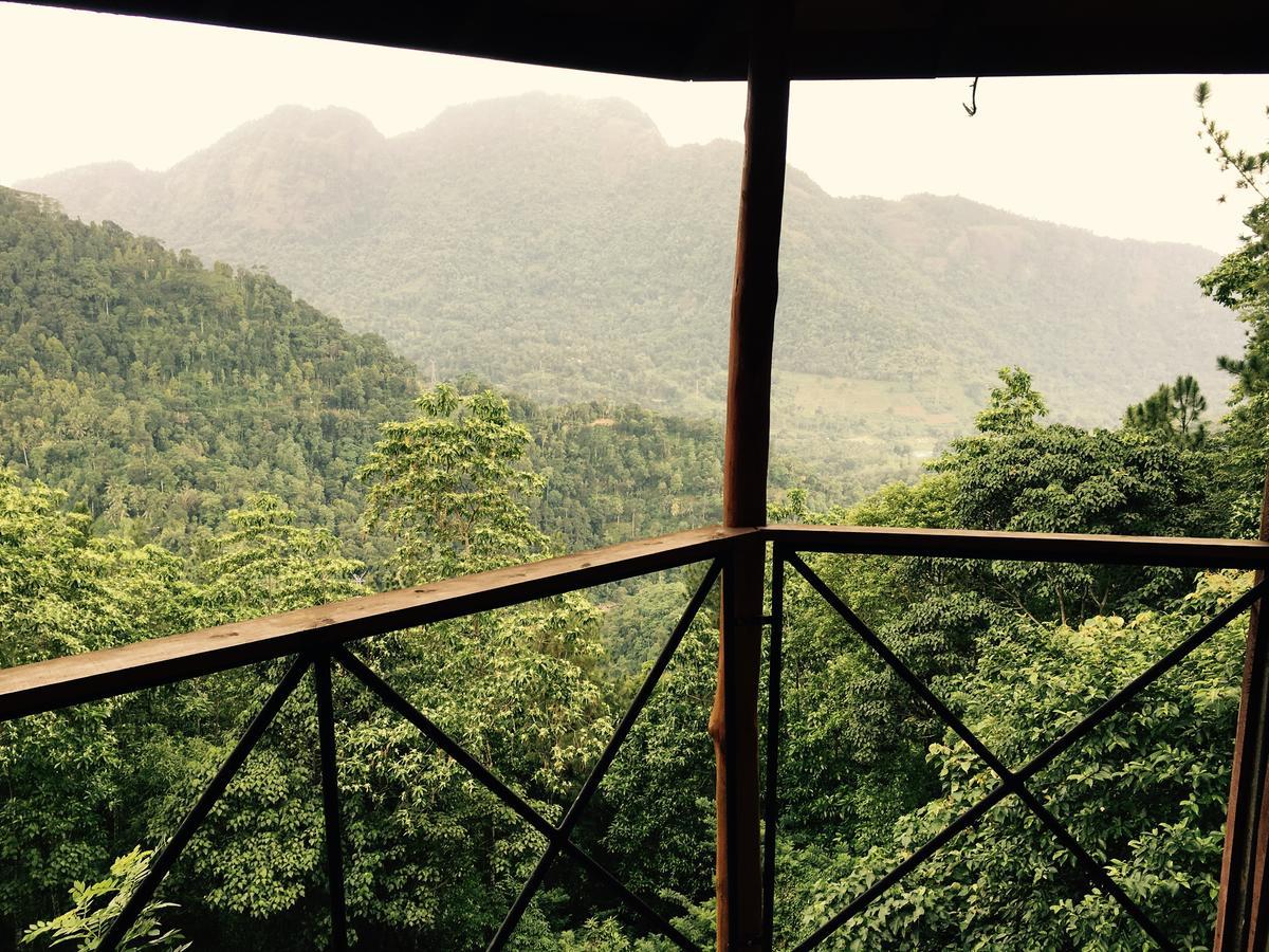 The Tree House Ξενοδοχείο Ginigathena Εξωτερικό φωτογραφία