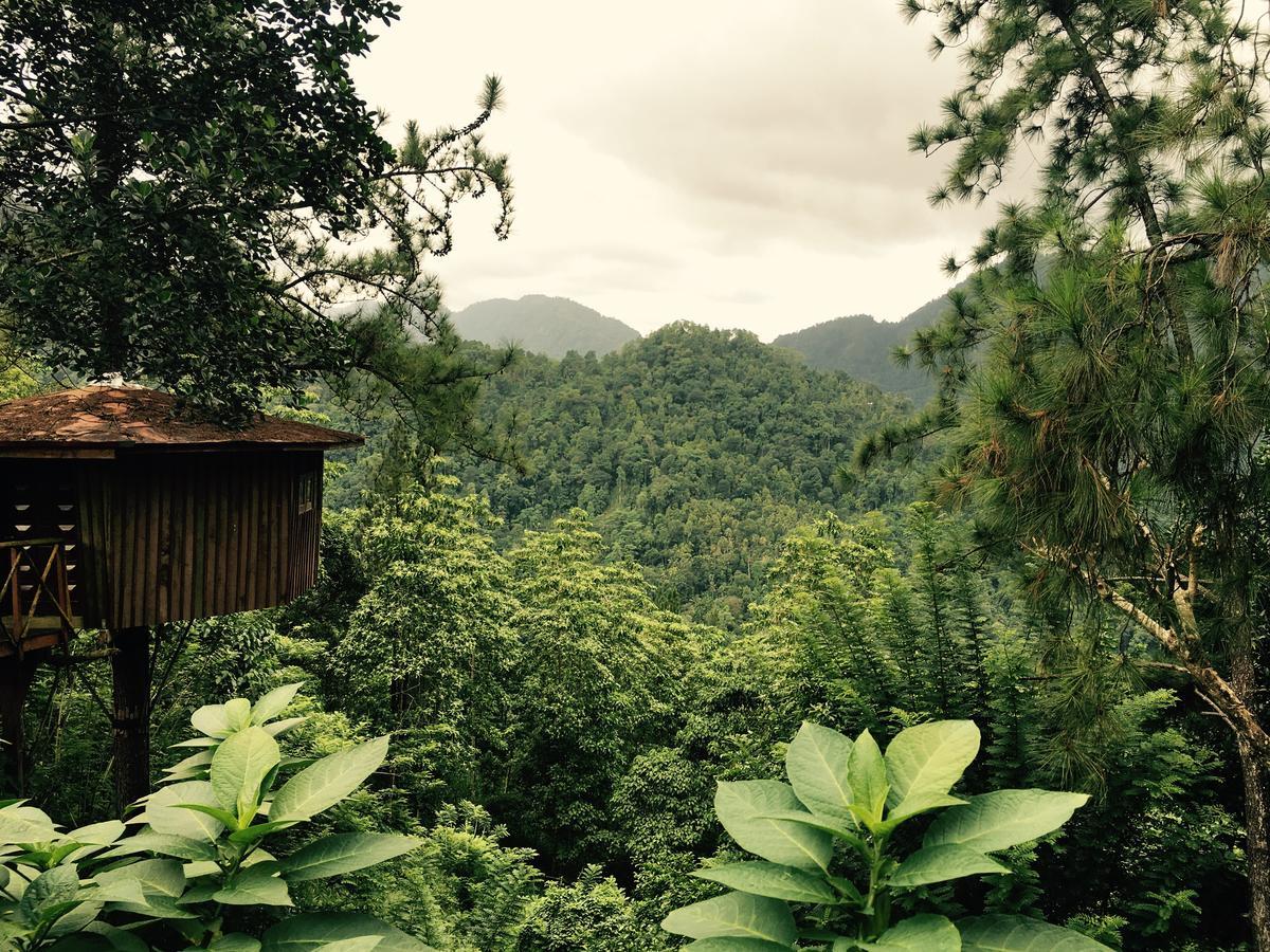 The Tree House Ξενοδοχείο Ginigathena Εξωτερικό φωτογραφία